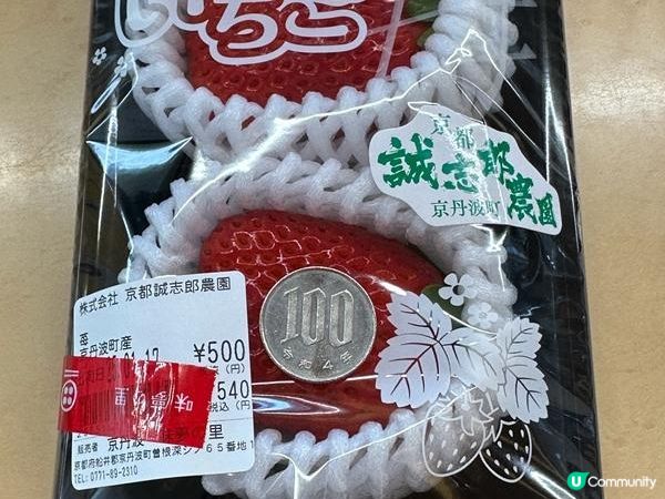 日本關西廣域八天之旅 | 伊根舟屋、天橋立及美山町合掌村一日遊 (1)