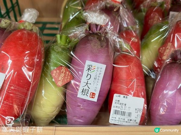 日本關西廣域八天之旅 | 伊根舟屋、天橋立及美山町合掌村一日遊 (1)