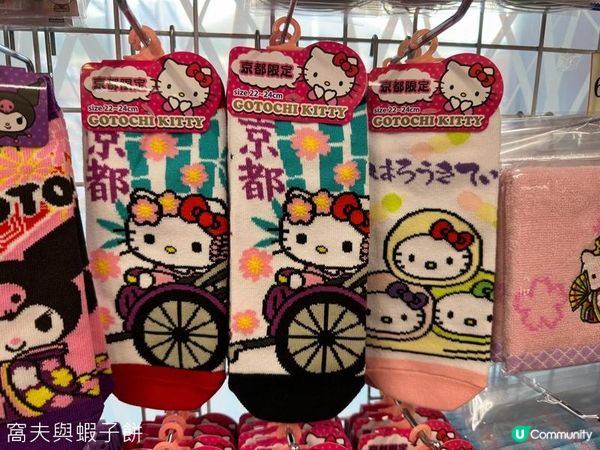 日本關西廣域八天之旅 | 伊根舟屋、天橋立及美山町合掌村一日遊 (1)