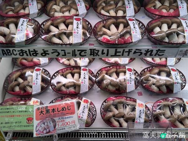 日本關西廣域八天之旅 | 伊根舟屋、天橋立及美山町合掌村一日遊 (1)