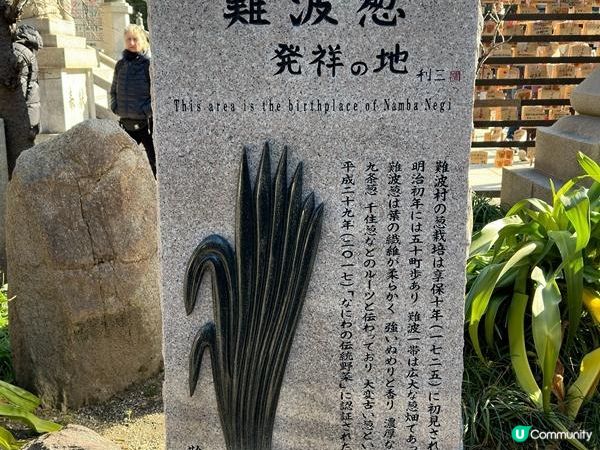 日本關西廣域八天之旅 | 大阪難波 | 關西機場酒店 | 臨空城