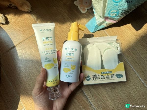 【體驗開箱】Goodmofamily歸毛家族 寵物一口好牙組