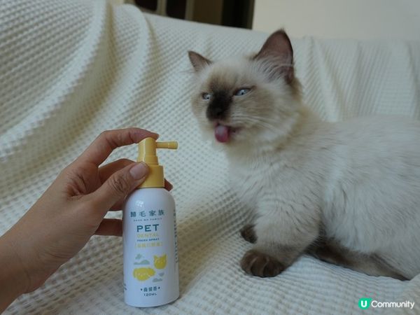 【體驗開箱】Goodmofamily歸毛家族 寵物一口好牙組