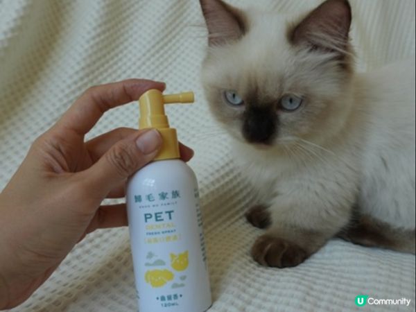 【體驗開箱】Goodmofamily歸毛家族 寵物一口好牙組