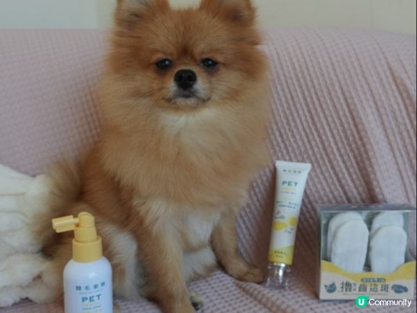 【體驗開箱】Goodmofamily歸毛家族 寵物一口好牙組