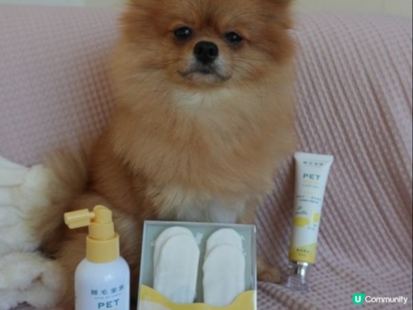 【體驗開箱】Goodmofamily歸毛家族 寵物一口好牙組