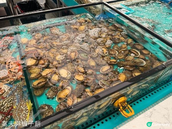 食在荃灣 | 千海水產海鮮火鍋放題 | 即撈蝦蟹鮑魚任食