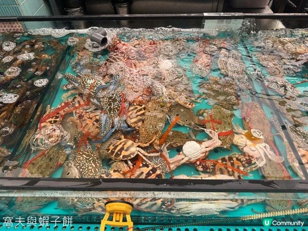 食在荃灣 | 千海水產海鮮火鍋放題 | 即撈蝦蟹鮑魚任食