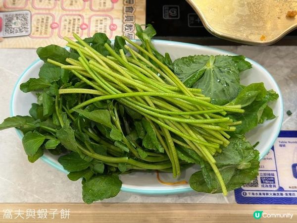 食在荃灣 | 千海水產海鮮火鍋放題 | 即撈蝦蟹鮑魚任食