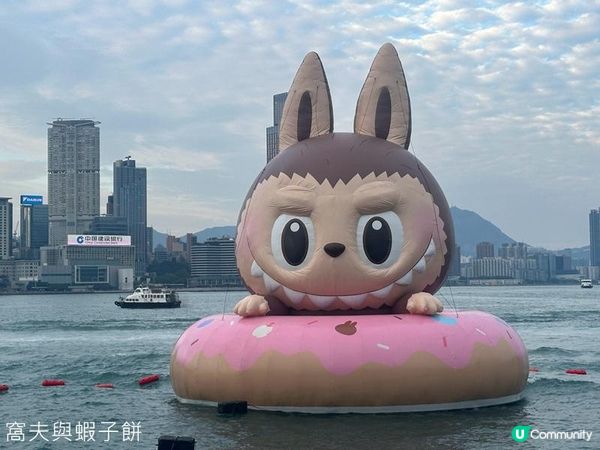 香港好去處 | 金鐘添馬公園 | 維港海上大巡遊