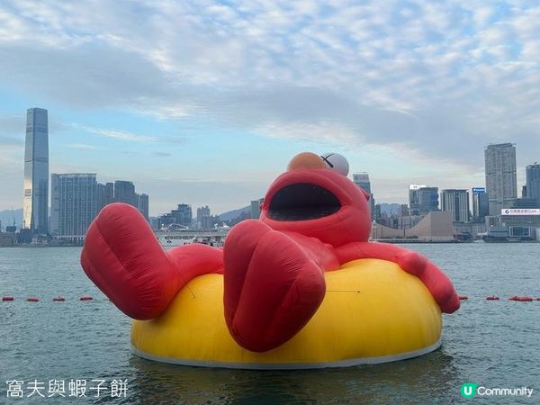 香港好去處 | 金鐘添馬公園 | 維港海上大巡遊