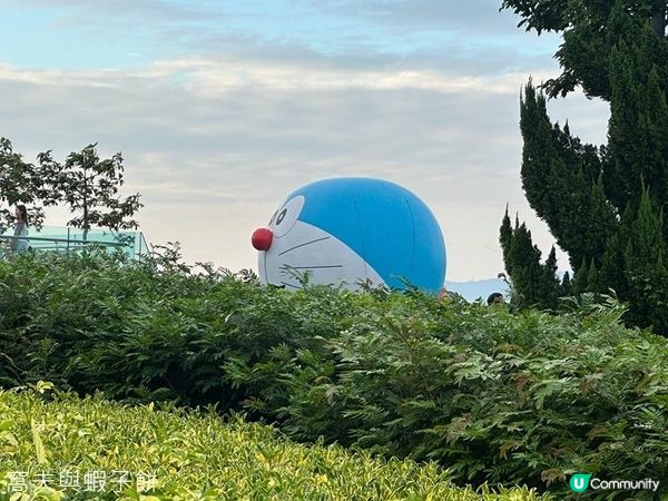 香港好去處 | 金鐘添馬公園 | 維港海上大巡遊