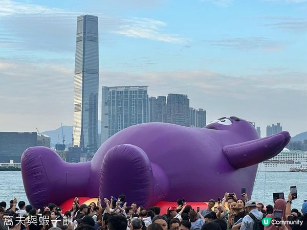 香港好去處 | 金鐘添馬公園 | 維港海上大巡遊