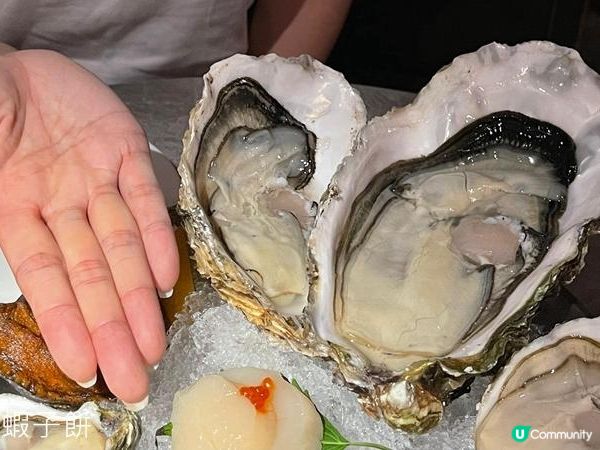 食在灣仔 | The Oyster House | 必食生蠔必飲蠔湯