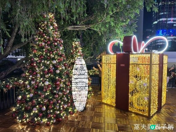 聖誕好去處 | 金鐘太古廣場 | 中環皇后像廣場花園