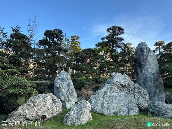 香港好去處 | 賞花 | 志蓮淨苑 | 蓮花