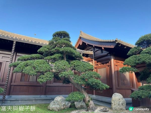 香港好去處 | 賞花 | 志蓮淨苑 | 蓮花