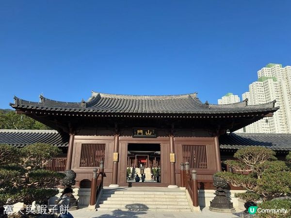 香港好去處 | 賞花 | 志蓮淨苑 | 蓮花