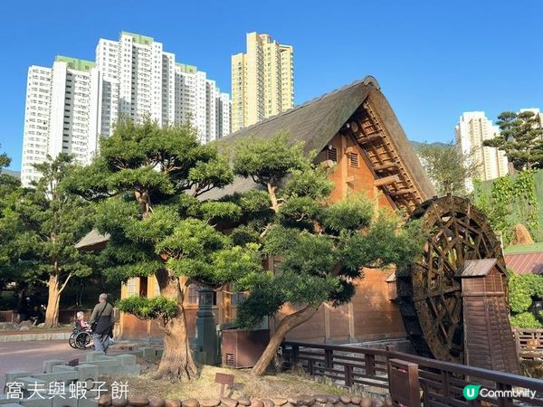 香港好去處 | 賞花 | 志蓮淨苑 | 蓮花