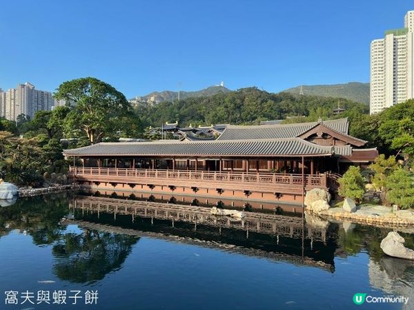 香港好去處 | 賞花 | 志蓮淨苑 | 蓮花