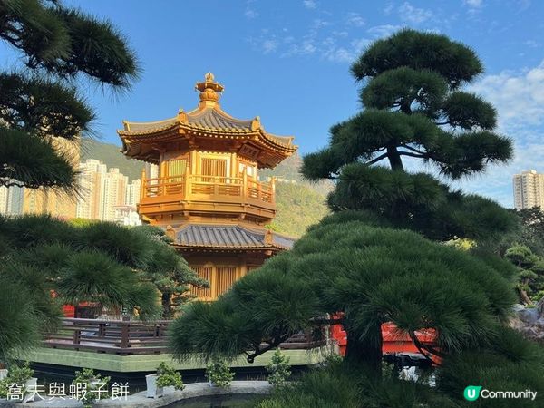 香港好去處 | 賞花 | 志蓮淨苑 | 蓮花