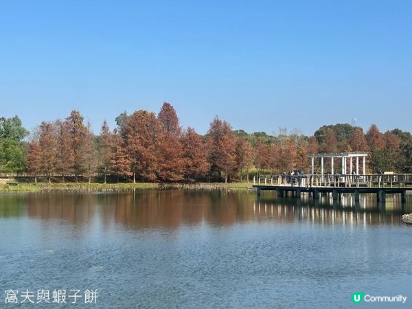 香港好去處 | 香港濕地公園 | 季節限定紅葉之美