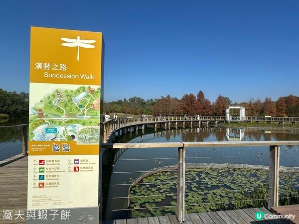 香港好去處 | 香港濕地公園 | 季節限定紅葉之美