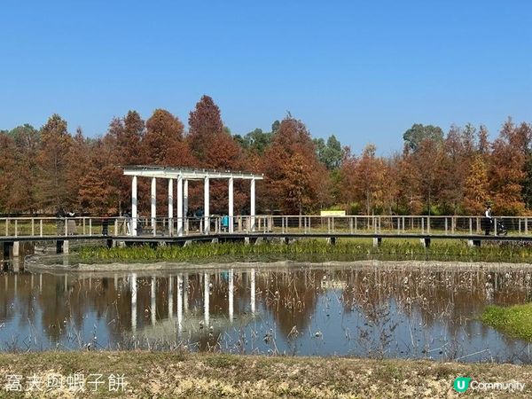 香港好去處 | 香港濕地公園 | 季節限定紅葉之美