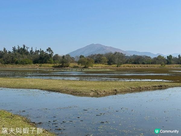 香港好去處 | 香港濕地公園 | 季節限定紅葉之美