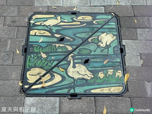 香港好去處 | 香港濕地公園 | 季節限定紅葉之美