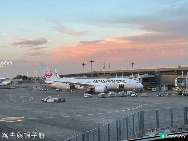 日本東京靜岡縣之旅 | 行程篇 (上)