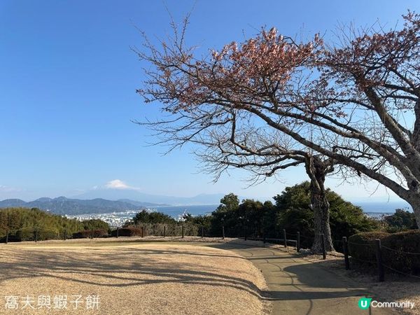 日本東京靜岡縣之旅 | 行程篇 (上)