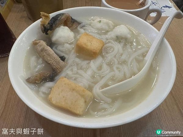 香港好去處 | 大埔海濱公園 | 三月賞花