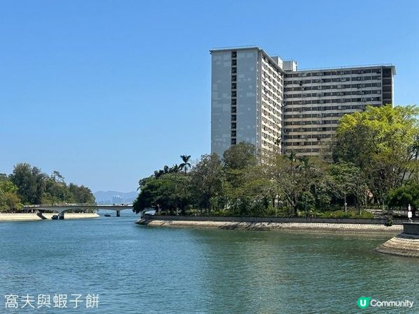香港好去處 | 大埔海濱公園 | 三月賞花