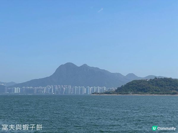 香港好去處 | 大埔海濱公園 | 三月賞花