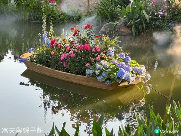 深圳好去處 | 人民公園 | 2026深圳月季賞
