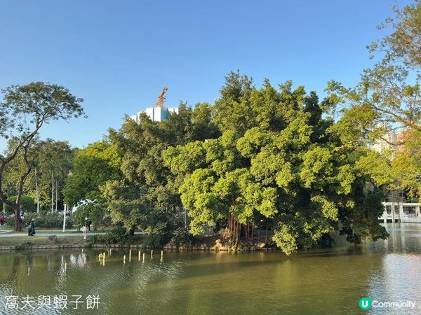 深圳好去處 | 人民公園 | 2026深圳月季賞