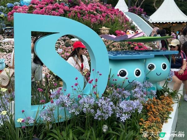 香港好去處 | 賞花 | 2026維園花展(1) | 香港特色