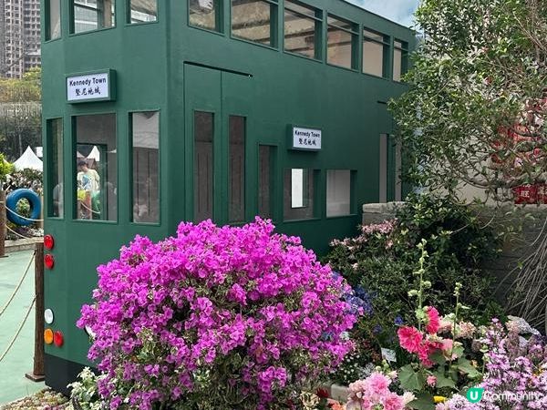 香港好去處 | 賞花 | 2026維園花展(1) | 香港特色