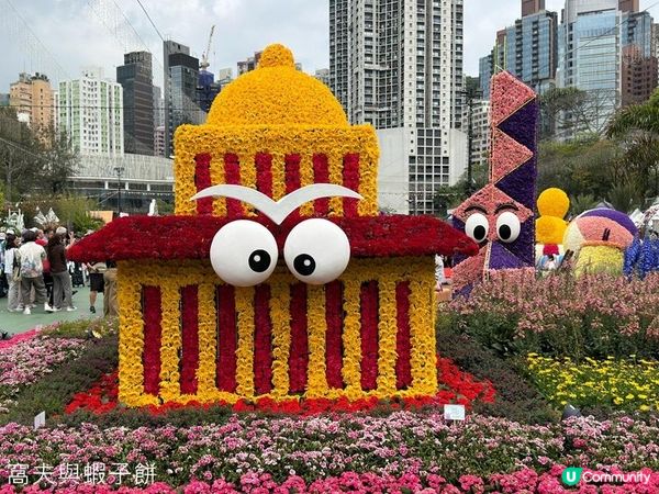 香港好去處 | 賞花 | 2026維園花展(1) | 香港特色