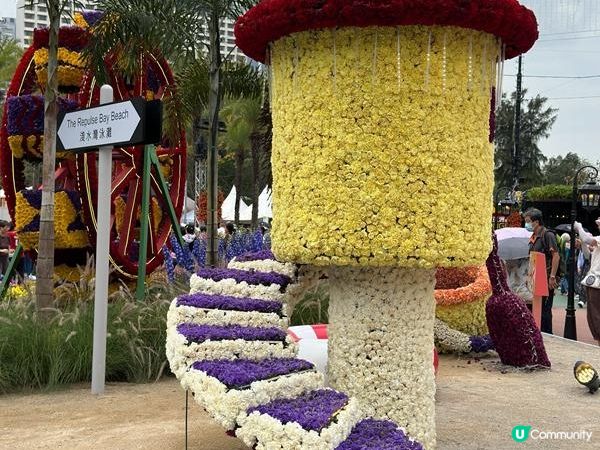 香港好去處 | 賞花 | 2026維園花展(1) | 香港特色