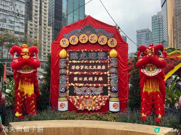 香港好去處 | 賞花 | 2026維園花展(1) | 香港特色