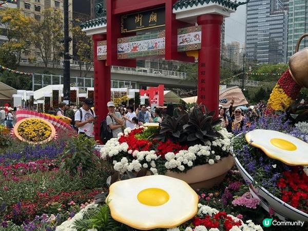 香港好去處 | 賞花 | 2026維園花展(1) | 香港特色