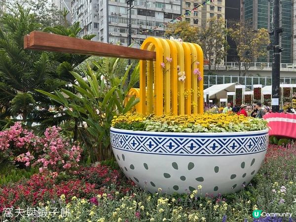 香港好去處 | 賞花 | 2026維園花展(1) | 香港特色