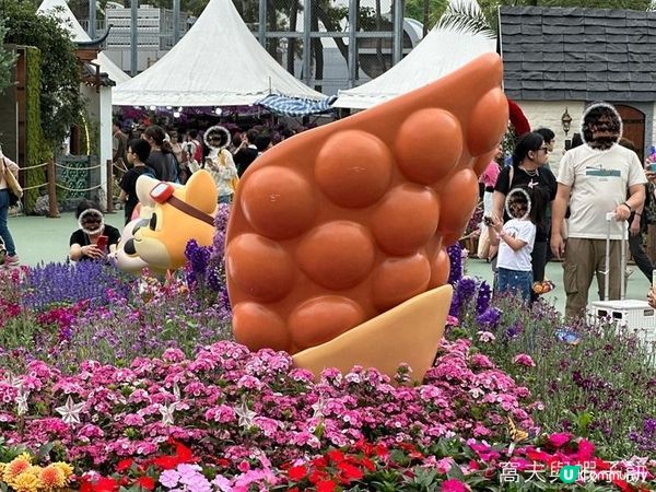 香港好去處 | 賞花 | 2026維園花展(1) | 香港特色