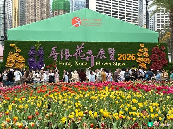 香港好去處 | 賞花 | 2026維園花展(4) | 鬱金香