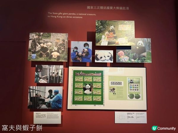 香港好去處 | 香港歷史博物館 | 香港故事