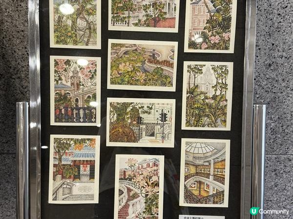 香港好去處 | 由上環走到香港大學 | 吃完蝦湯麵再吃雪糕
