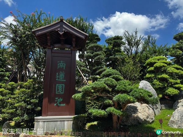 香港好去處 | 賞花 | 夏遊志蓮淨苑 | 蓮花 | 紫薇