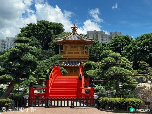 香港好去處 | 賞花 | 夏遊志蓮淨苑 | 蓮花 | 紫薇